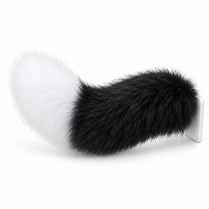 Fluffy black and white wagging tail attached to a car trunk