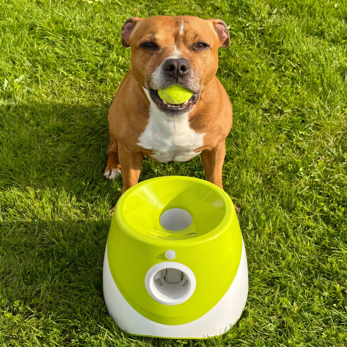 Cosmently automatic ball launcher front angle