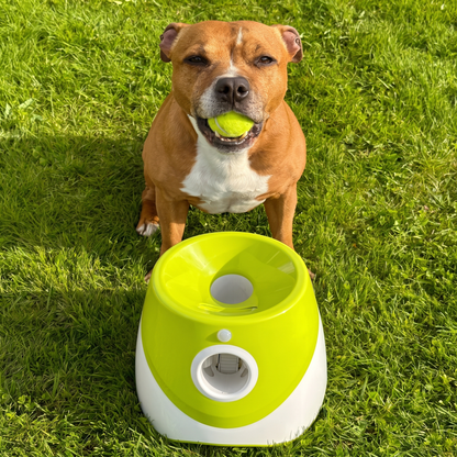 Cosmently automatic ball launcher front angle