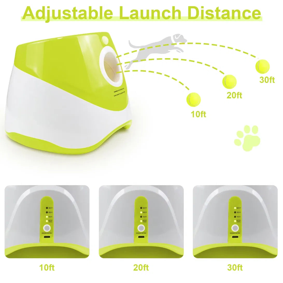Dog dropping a ball into Cosmently for hands‑free play