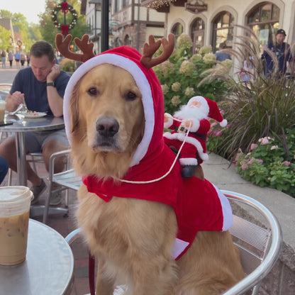 Cosmently Santa Dog Costume 🎅 — video 3