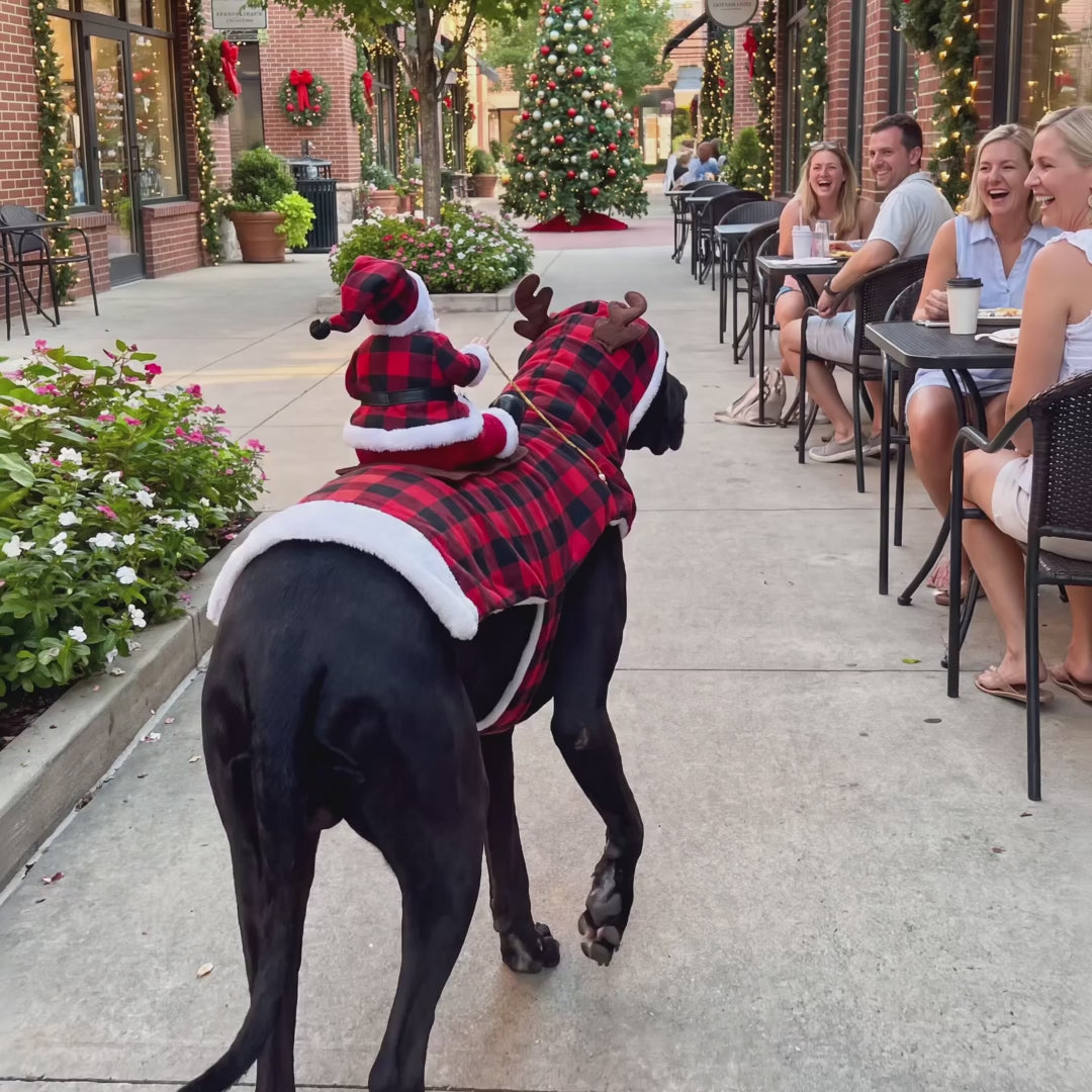 Cosmently Santa Dog Costume 🎅 — video 2