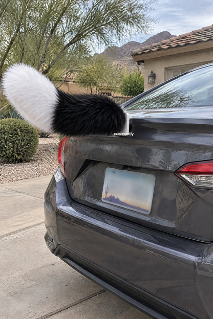 USB-C cable plugged into the tail for charging